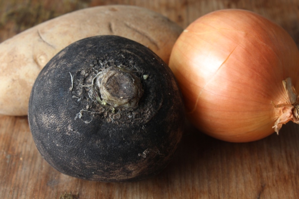 Russet potato, black radish, and onion